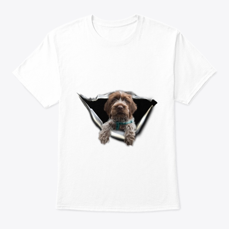 Wirehaired Pointing Griffon