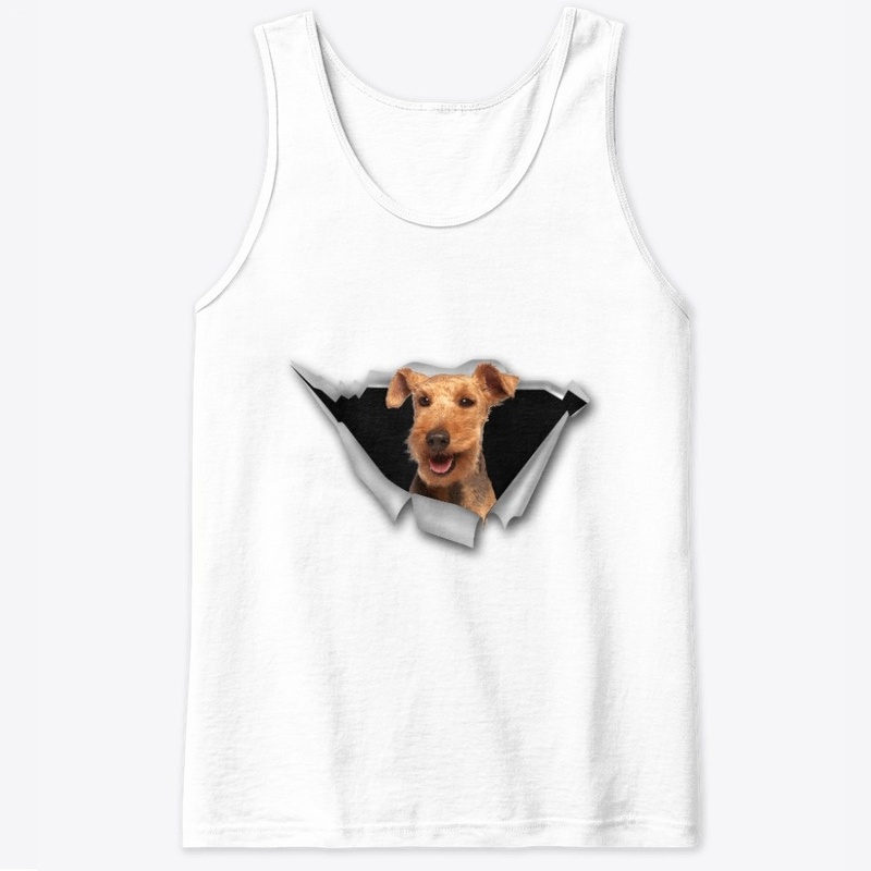 Welsh Terrier - Torn