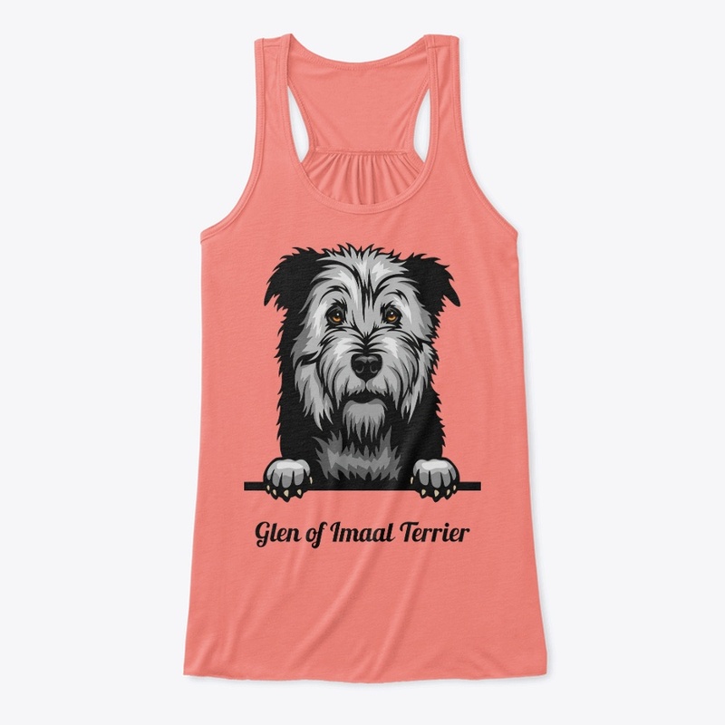 Glen of Imaal Terrier