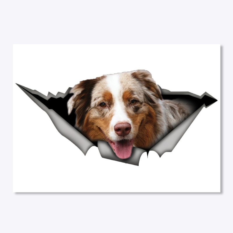 Australian Shepherd Mix car decal
