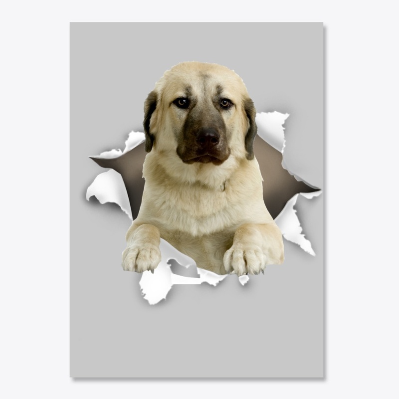 Kangal Dog Torn Paper