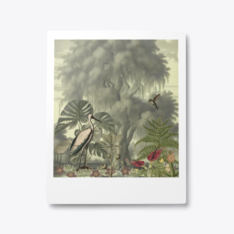 The Garden