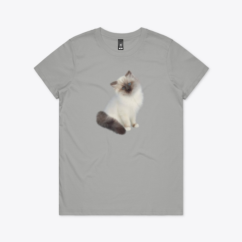 Lovely  Cat