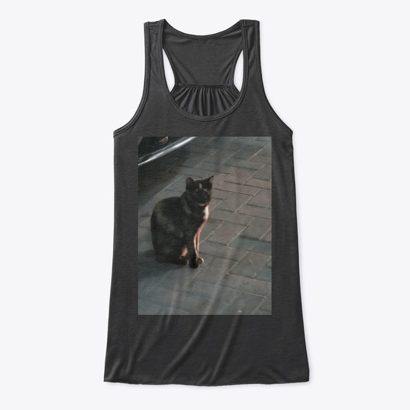 Cats lovers 2020