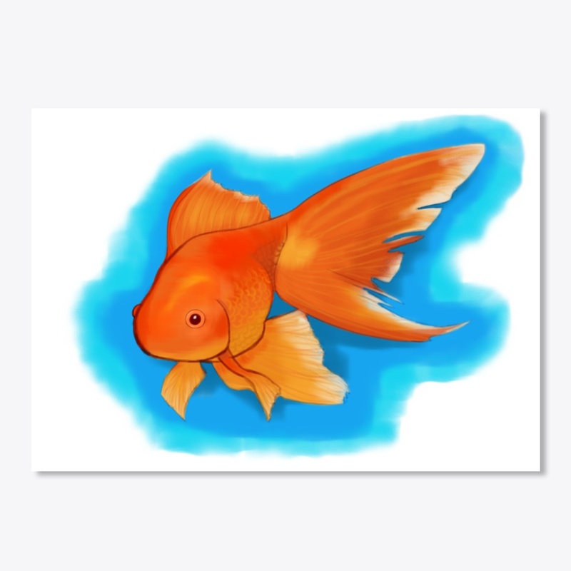 Comet Goldfish