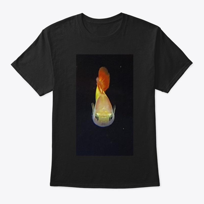 Last Guppy Tee, I promise