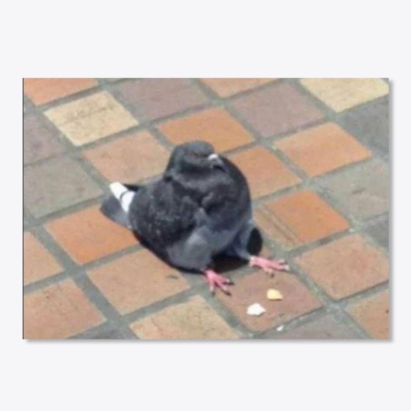Pet Bird