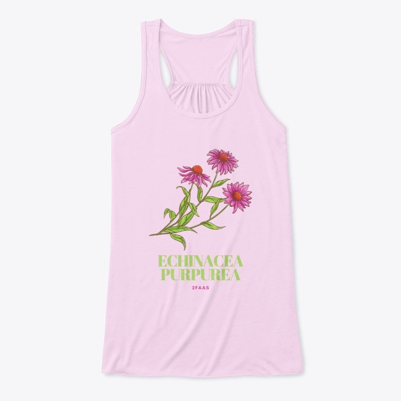 Echinacea (coneflower) Collection