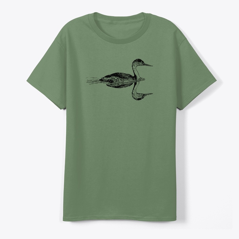 Clark's Grebe - Birdwatching