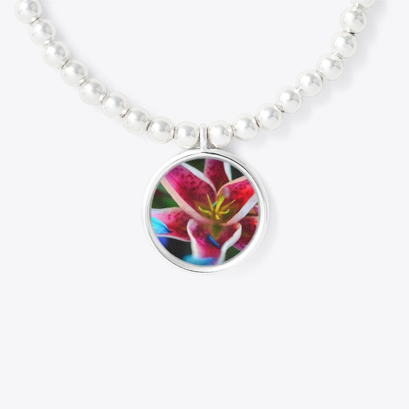 Blue Petals on a Pink and White Lily