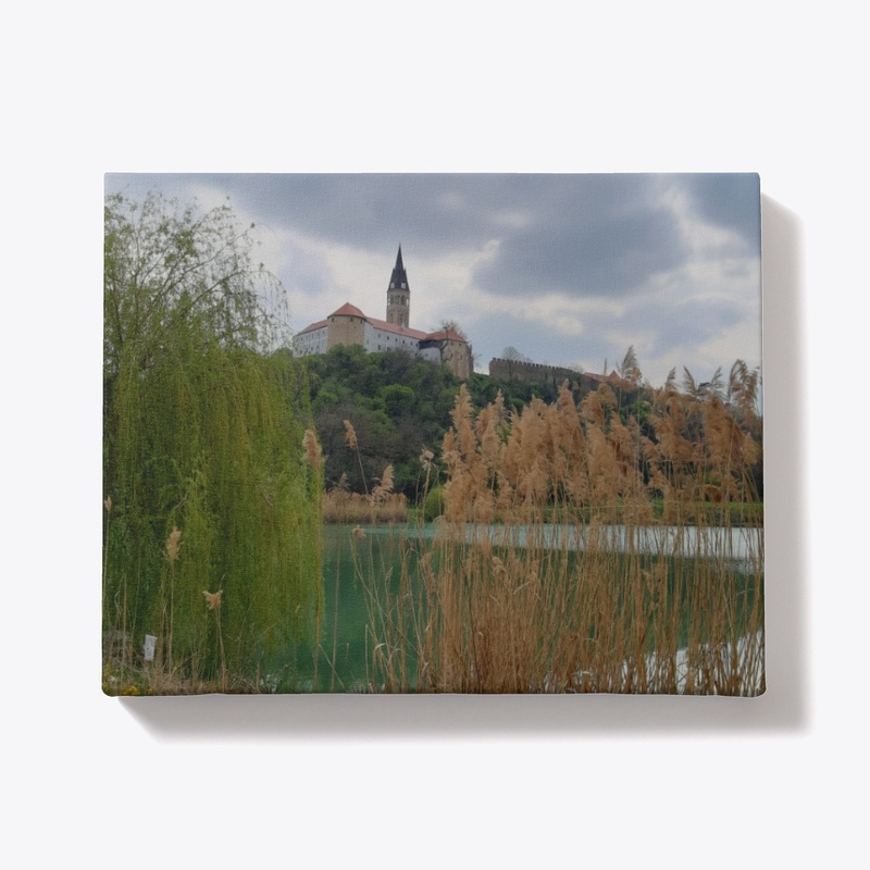 The old town of Ilok 2