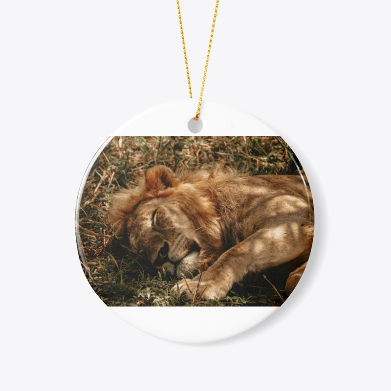 Serene Lion