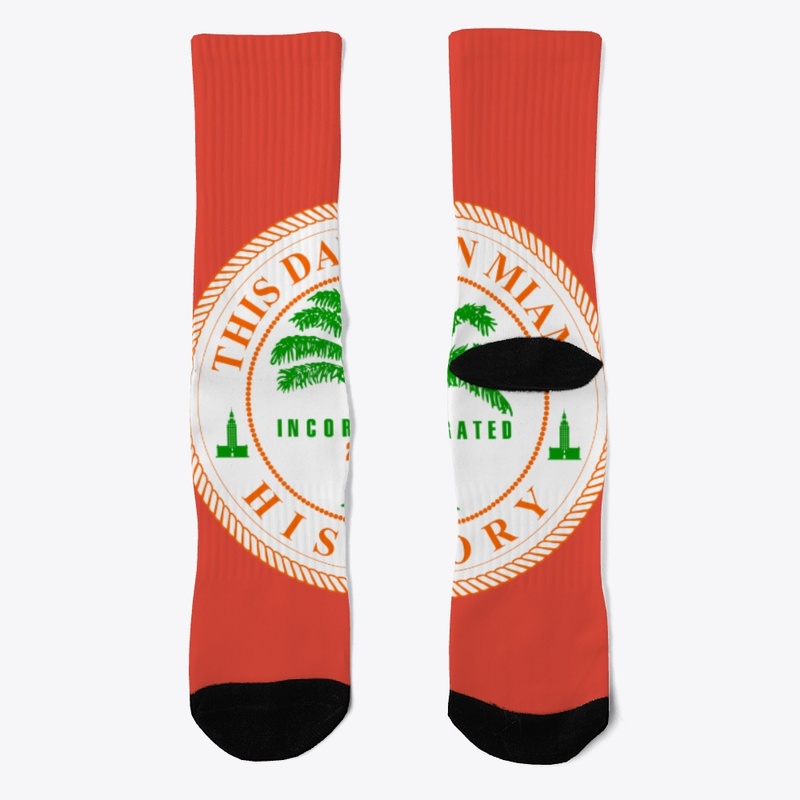 This Day in Miami History Podcast