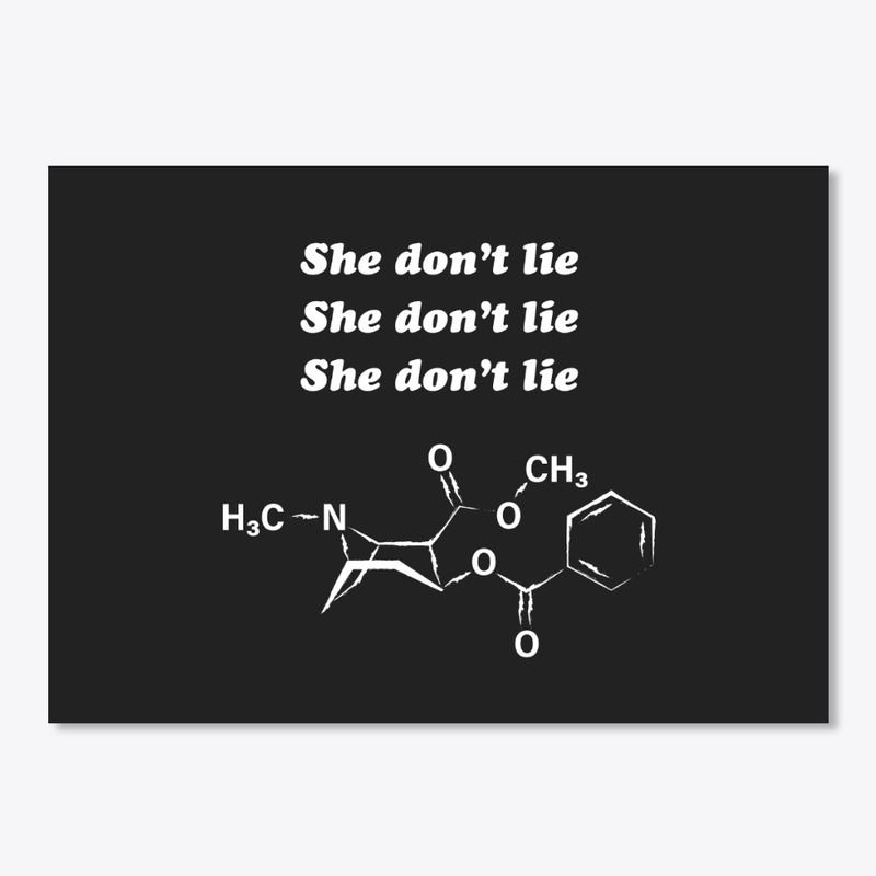 She Don't Lie 2.0 🚀 SFSF+AWJ