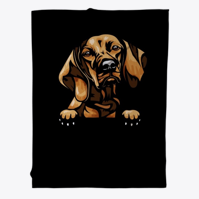 Vizsa dog hoodie