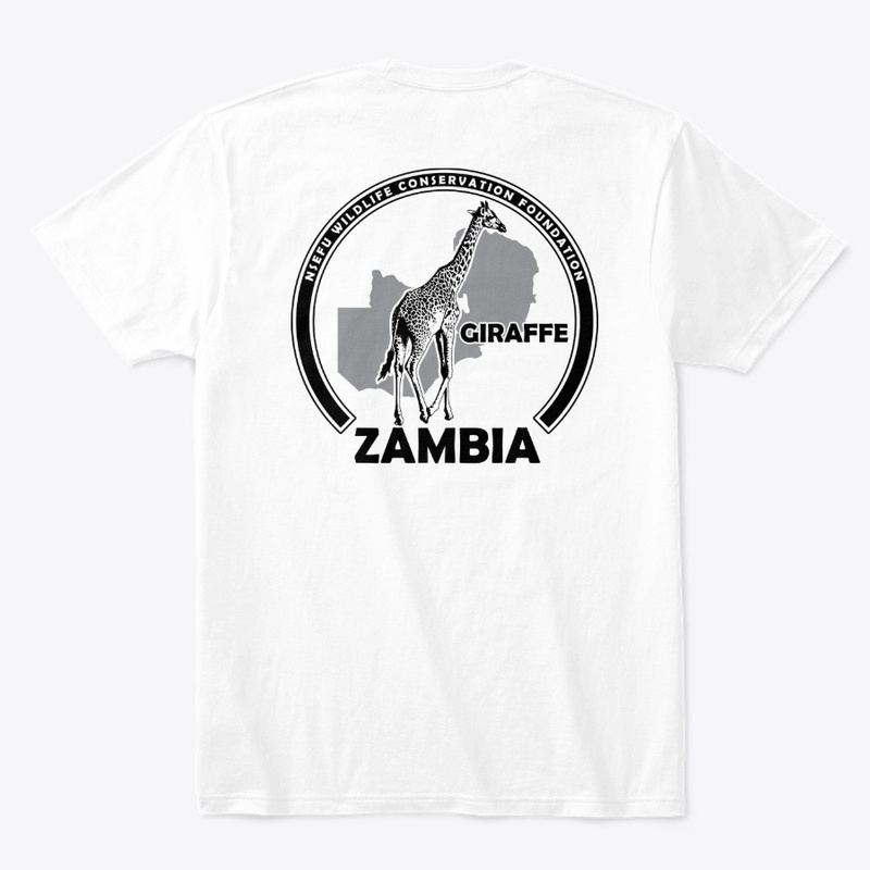 Zambian Wildlife - Giraffe