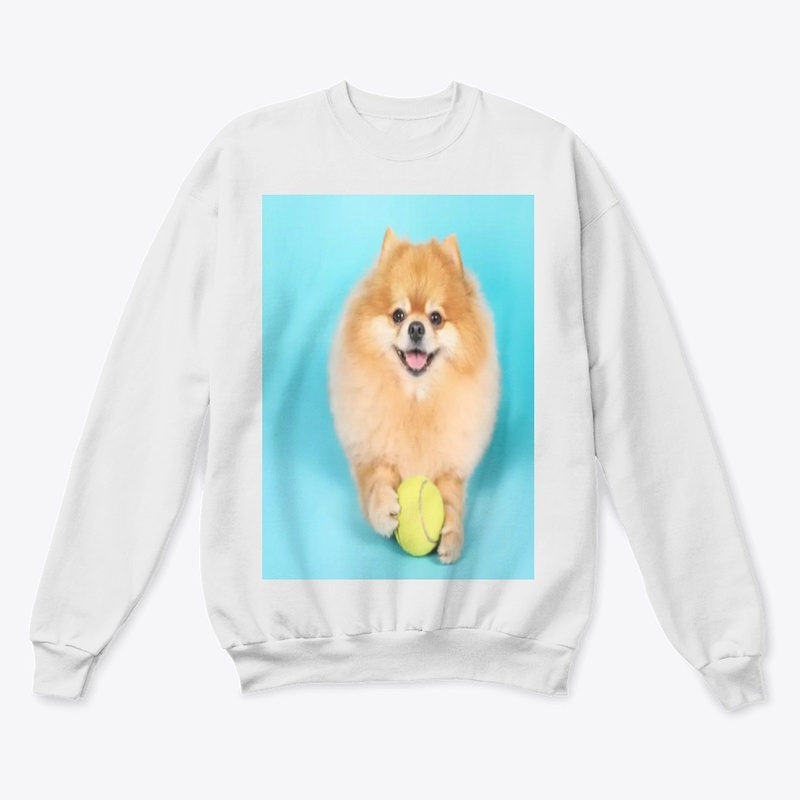 cute dog