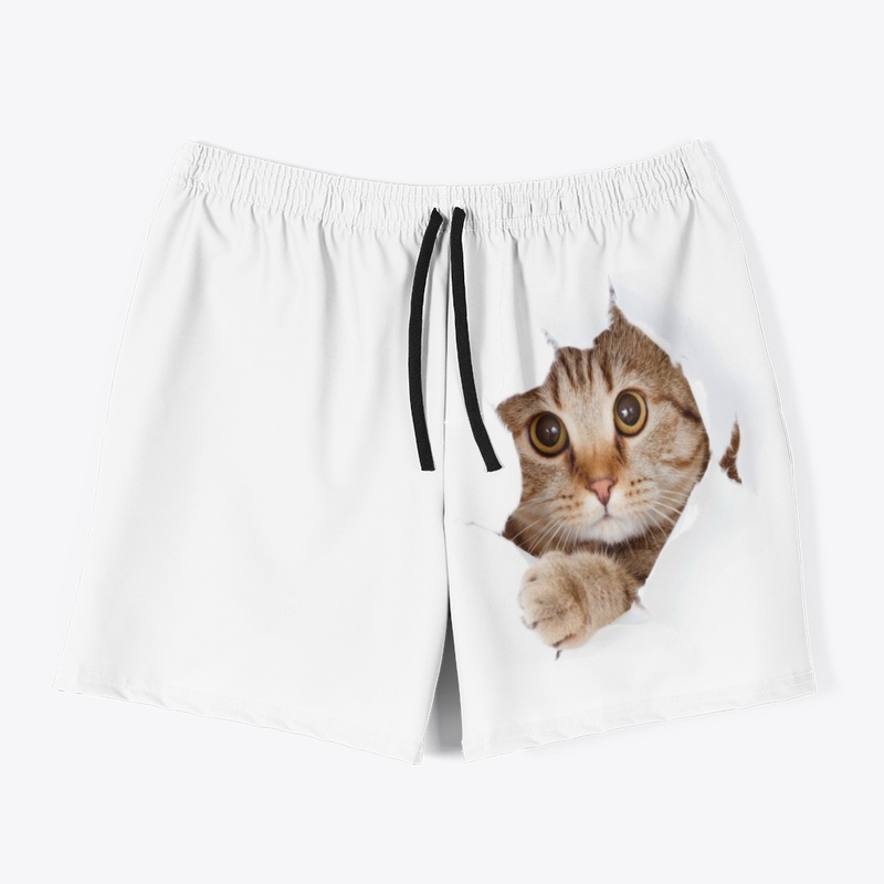 Petit chat