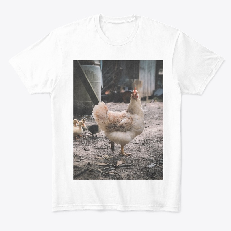 Funny chicken meme