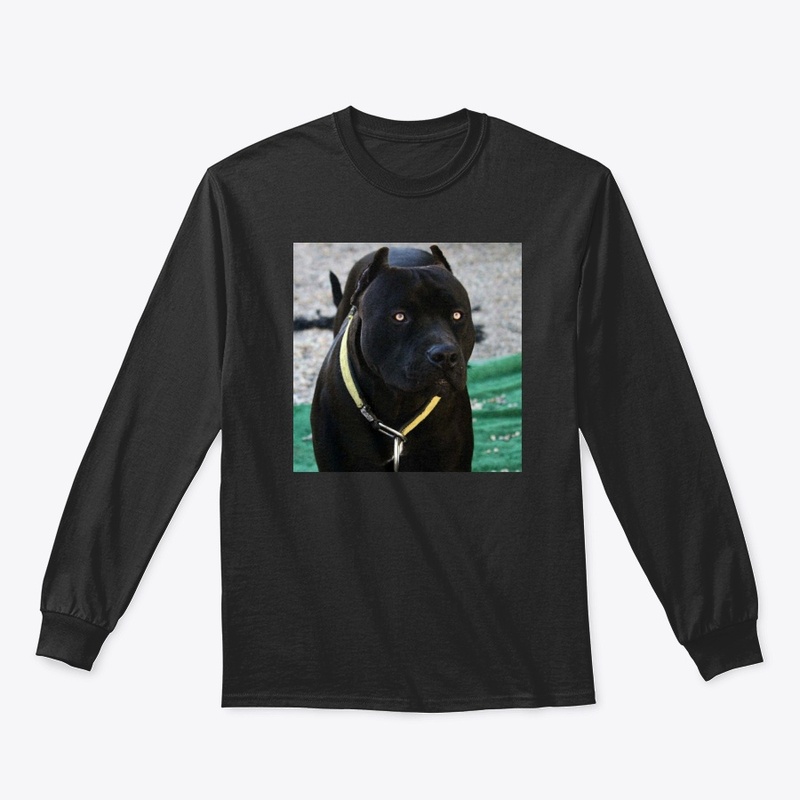 Pitbulls Black