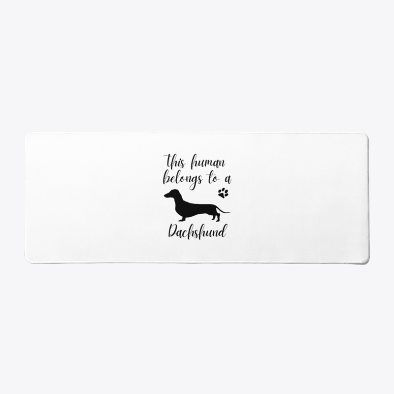 This human belongs to a Dachshund