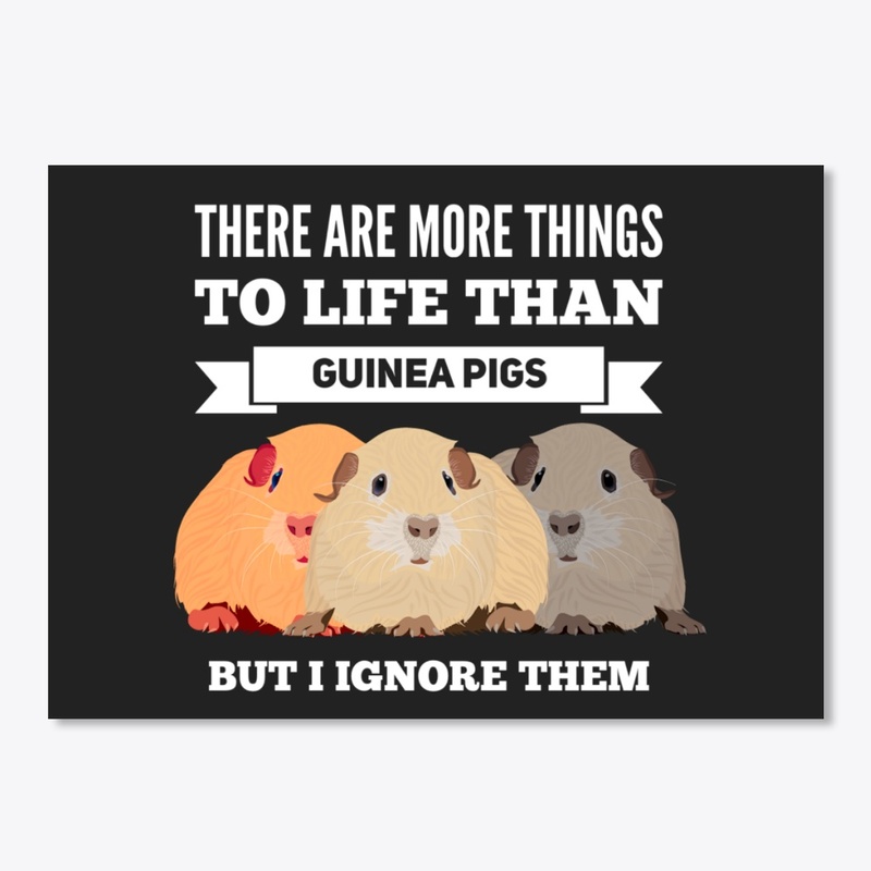 Guinea Pig Cute Funny More To Life