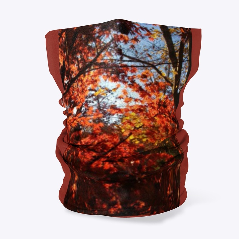 Red Maple Leaves