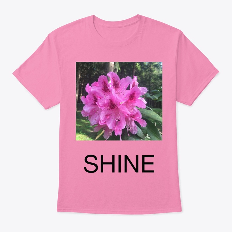 SHINE