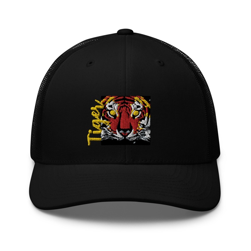 Tiger Gaze 1