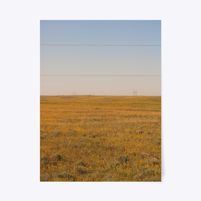 Colorado 13