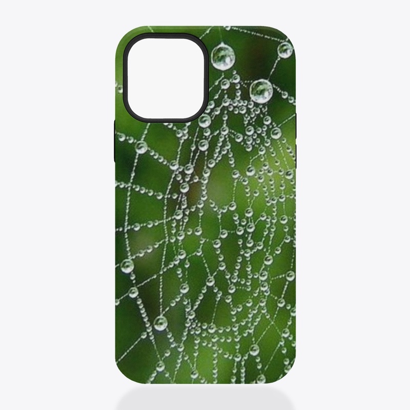 Spider Web With Drops Of Water design