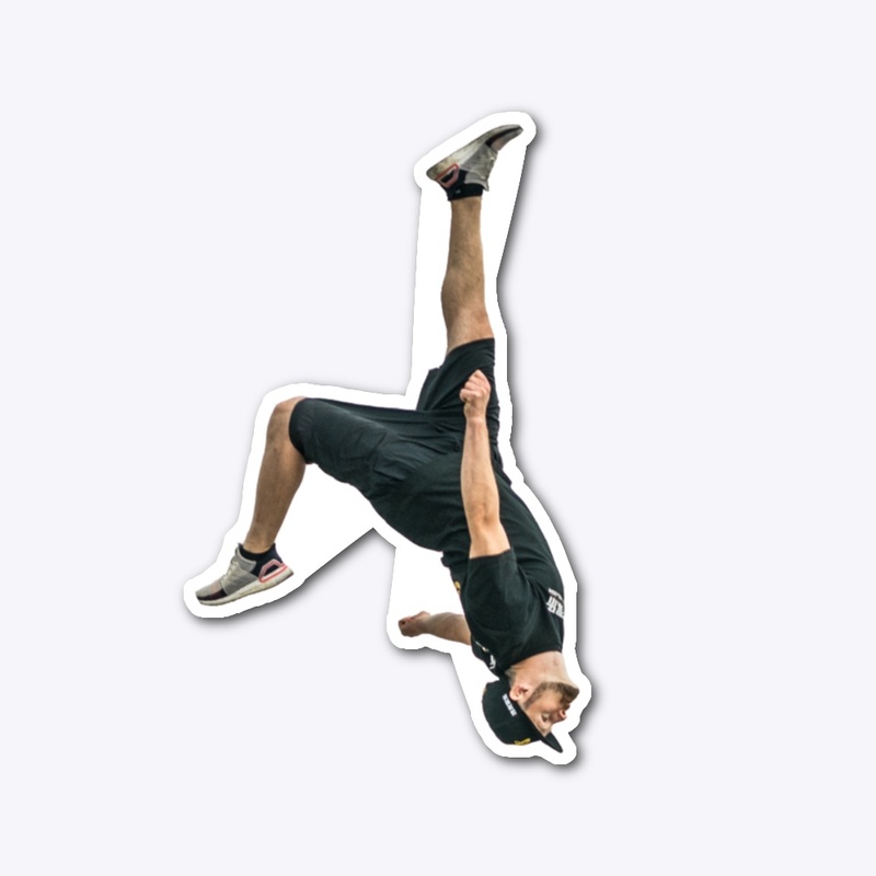 BACKFLIP FLASHKICK