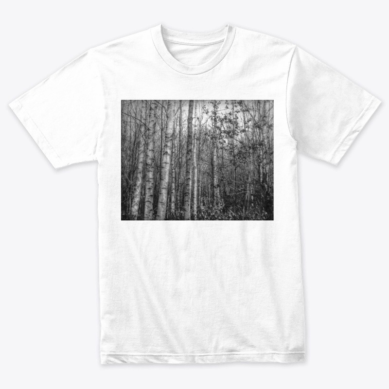 Silver Birch