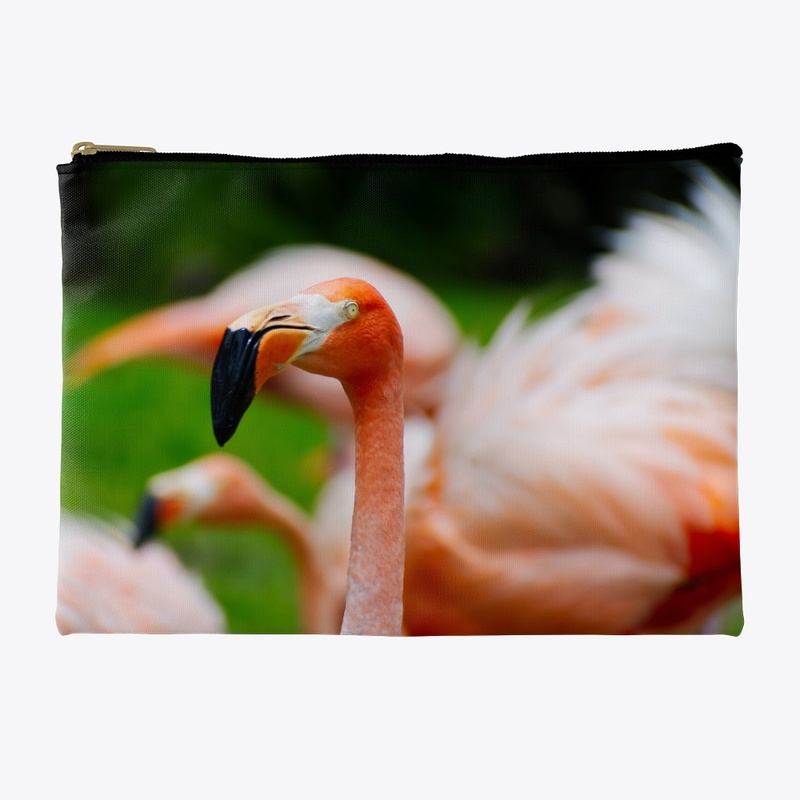 Flamingo by Michelle