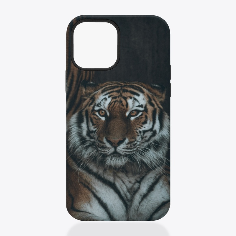 Big Cats