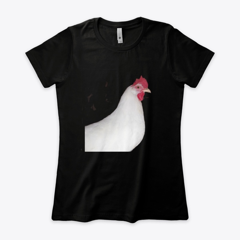 white leghorn hen chicken farm animal