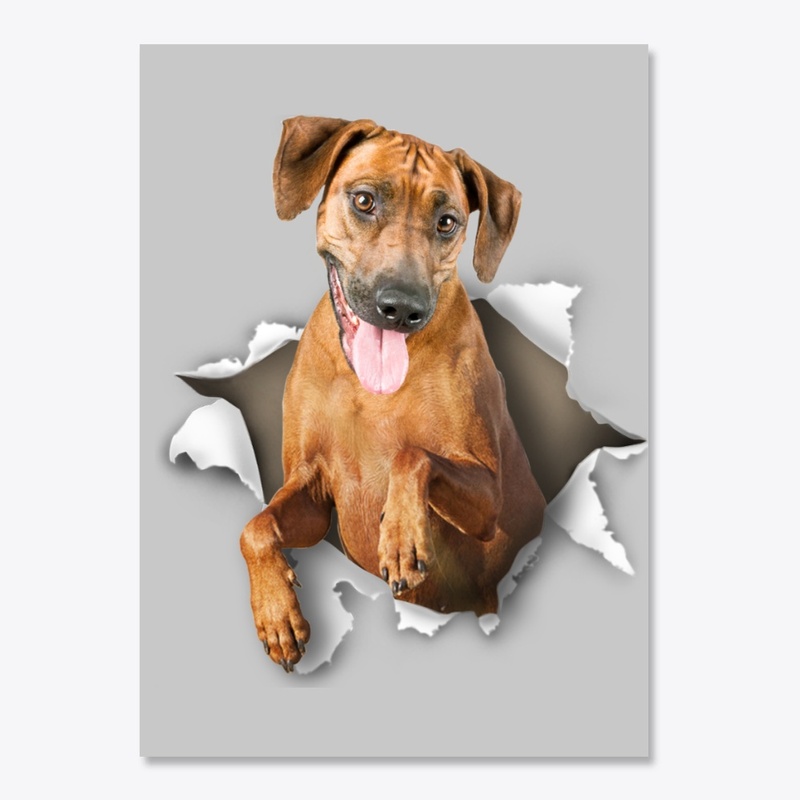 Rhodesian Ridgeback Torn Paper