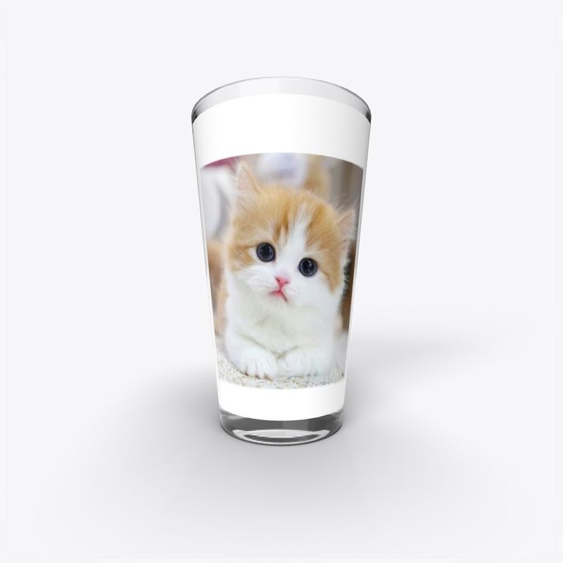 Cute Kitten Vibes