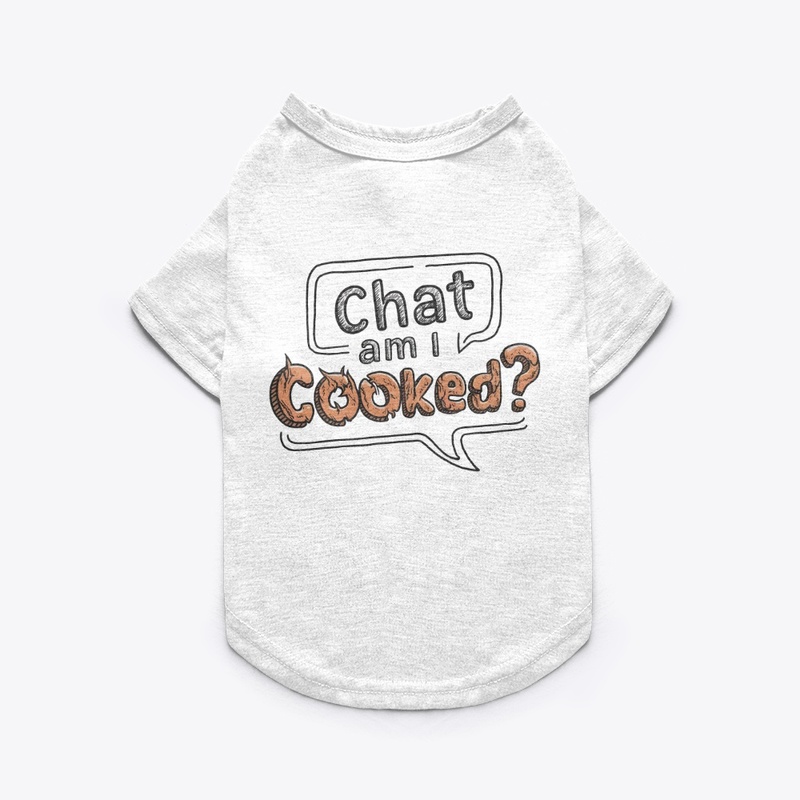 Chat am I cooked?