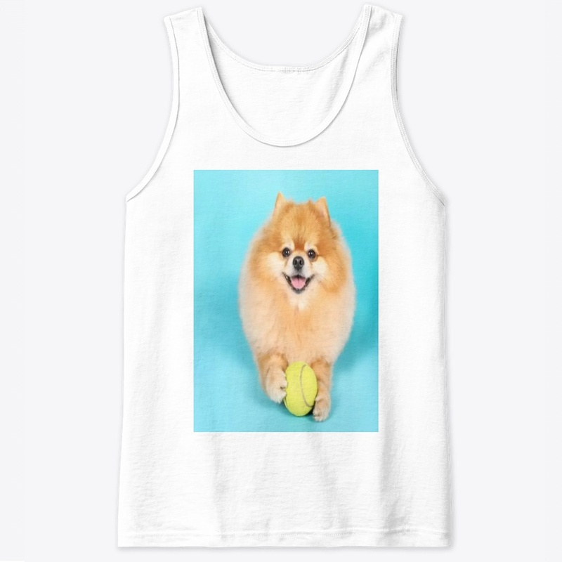 cute dog