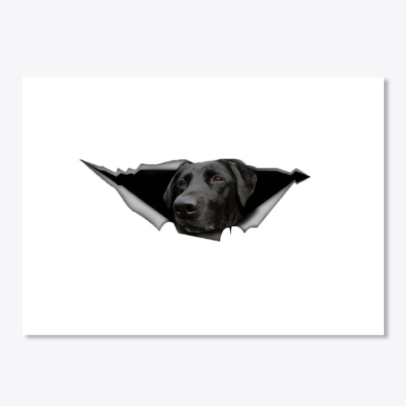 Black Labs car decal