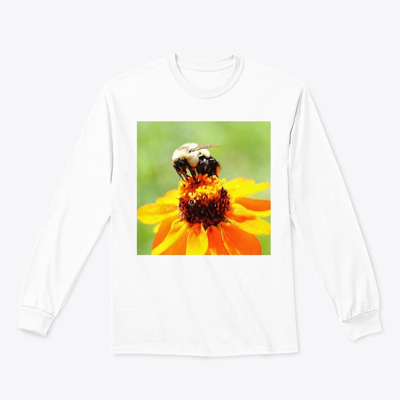 Bee On a Flower