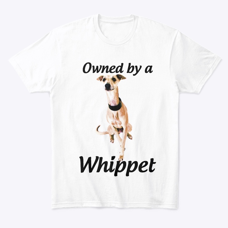 owned by a whippet dog