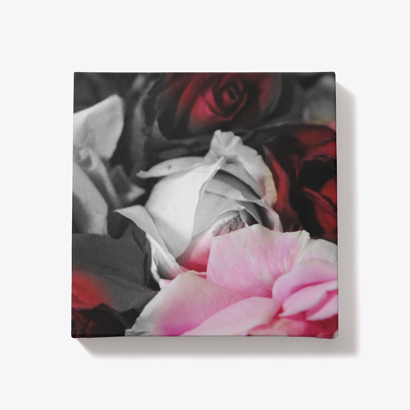 Black and White Roses Fade 
