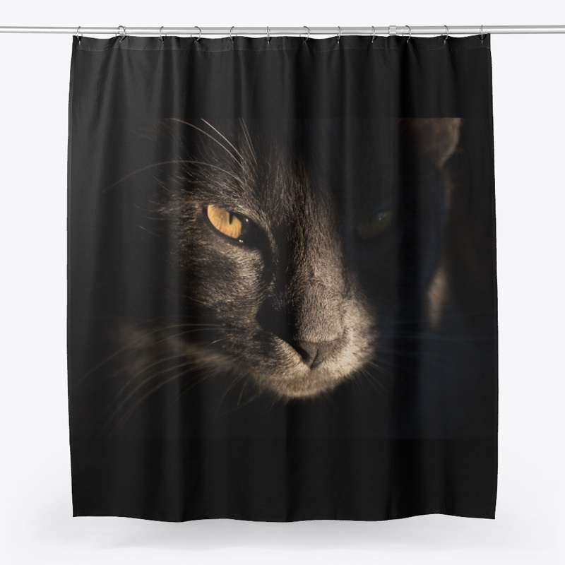 Black Cat