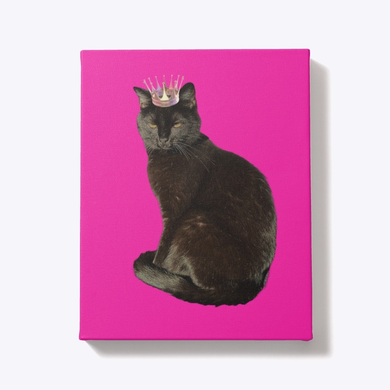 Queen Kitty 