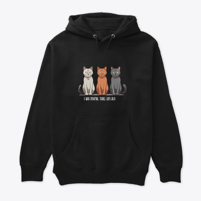 I Was Normal Three Cats Ago funny cat