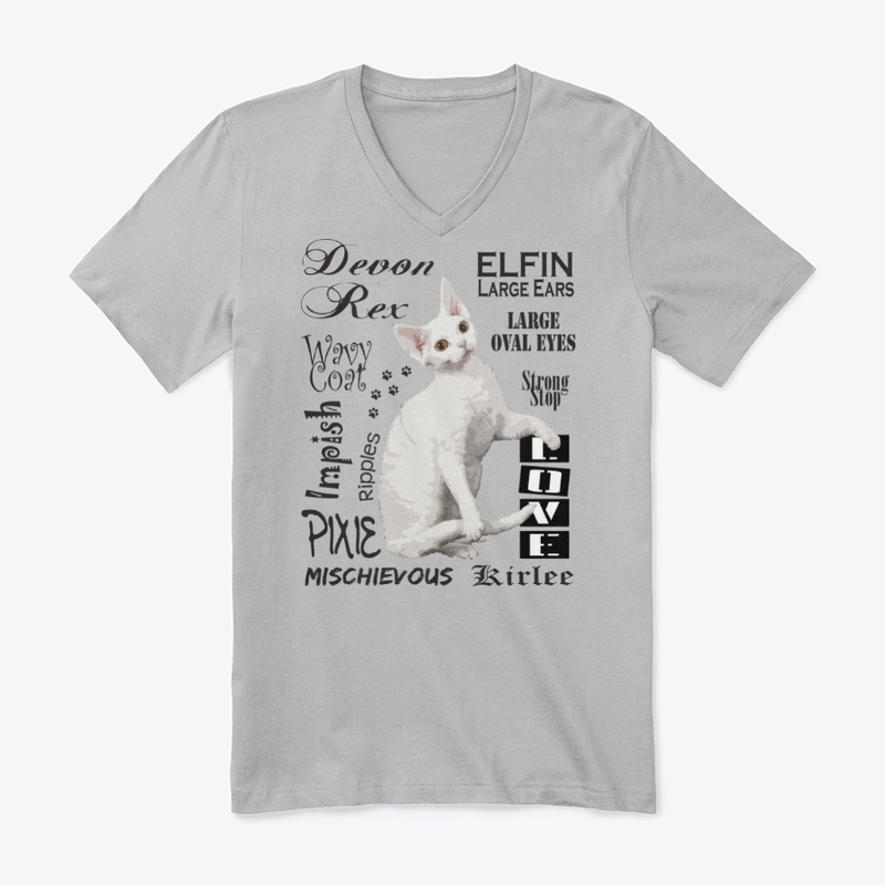 Devon Rex Cat