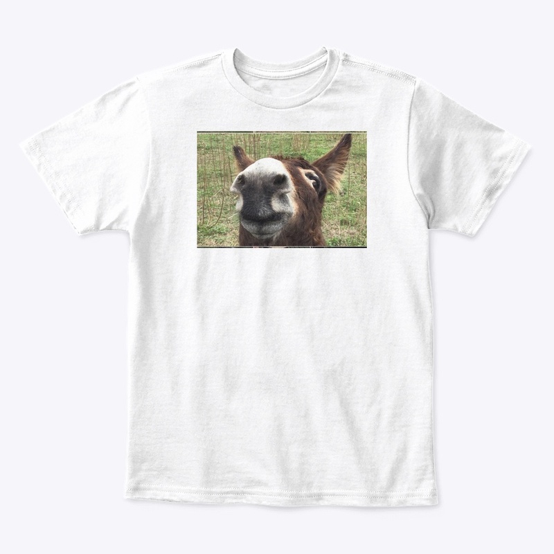 Donkey Fever