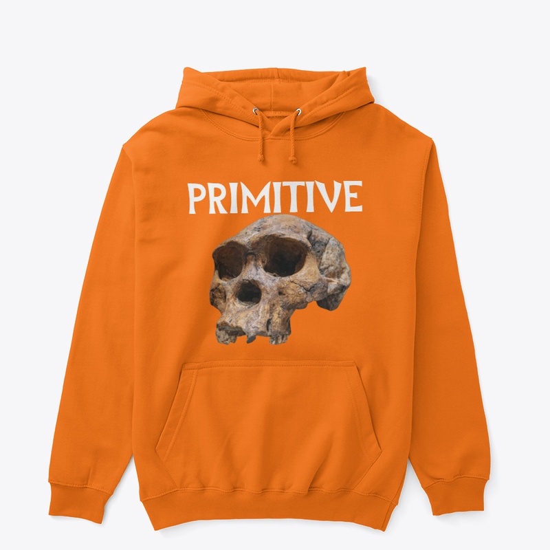 PRIMITIVE HOODIE